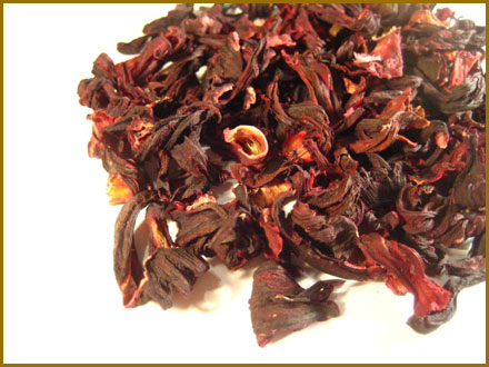 Hibiscus / Sudan Hibiscus / Sudan