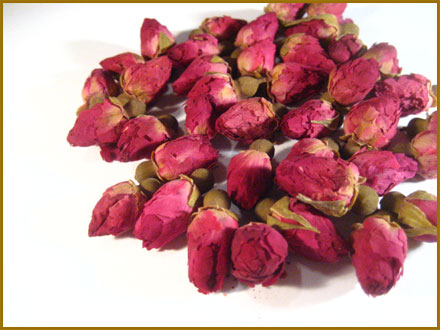Rosebuds / China Rosebuds / China